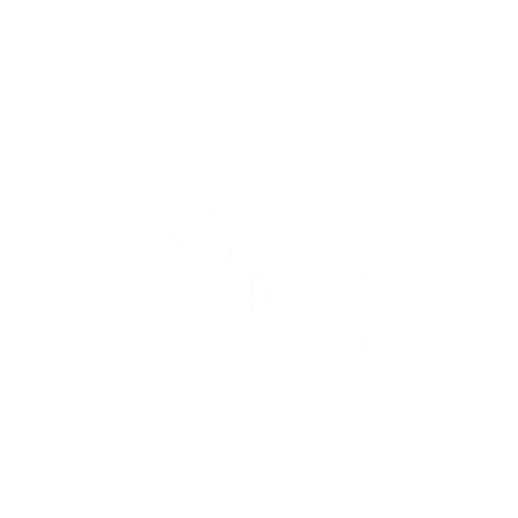 Soundbyhoyer – Producing // Recording // Mixing // Mastering